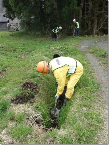 R080418ichi春季水路整備 (207)