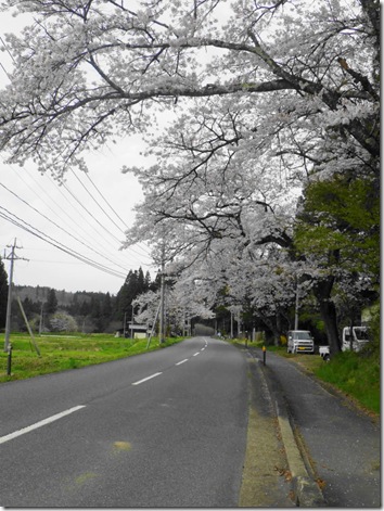 R080418ichi春季水路整備 (41)