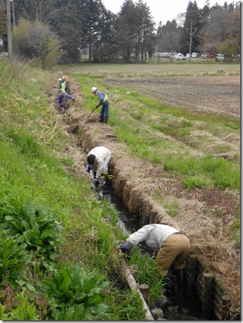 R080418ichi春季水路整備 (70)