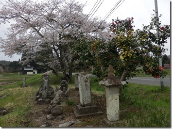 R080418ichi春季水路整備 (91)