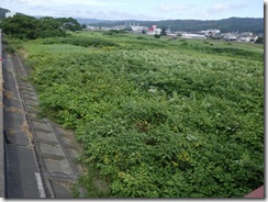 R0024722