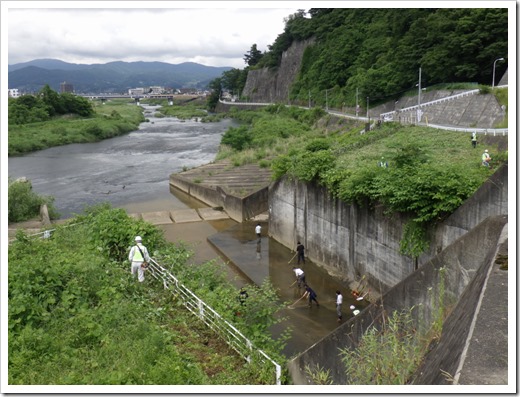 ichiR5吸川水路 (36)