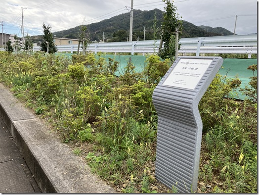 作業前①