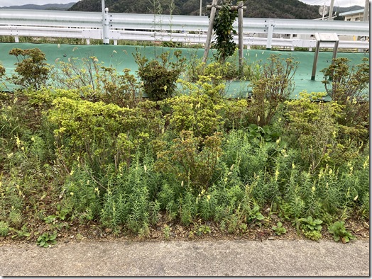 作業前②
