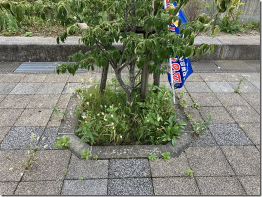 作業前③