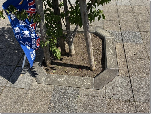 作業後③