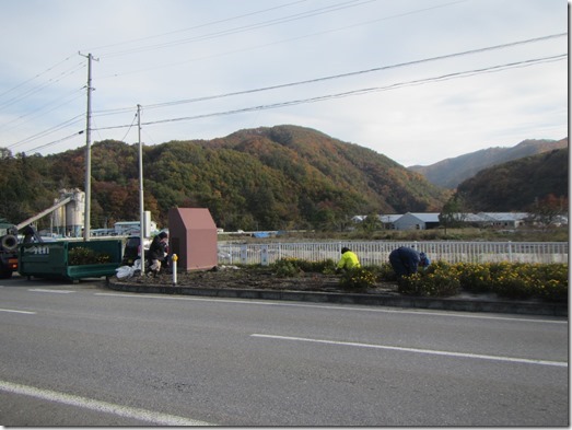 2910花壇片づけ作業中