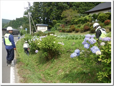 ichiあじさいR0606 (20)
