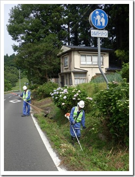 ichiあじさいR0606 (26)