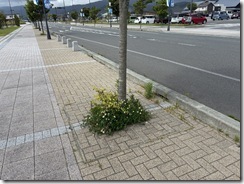 作業前②