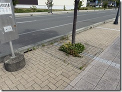 作業前③