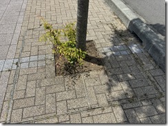 作業後①