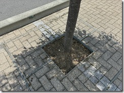 作業後③