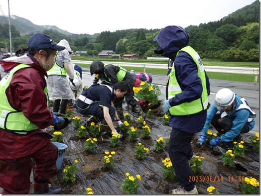 道路愛護活動