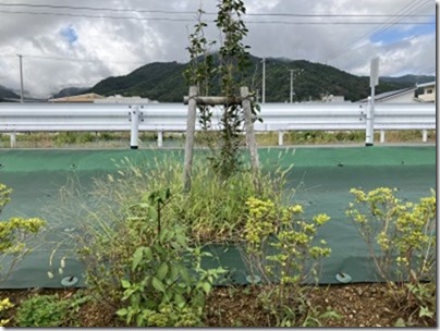 作業前②