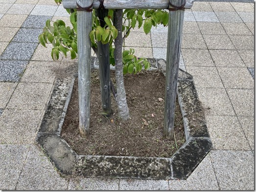 作業後③
