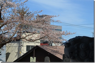 DSC_0232大神宮