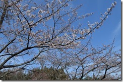 DSC_0244福祉の村