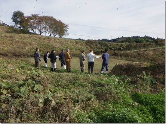 埋却地現地確認調査