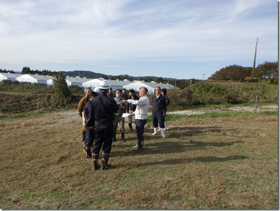 埋却地現地確認調査
