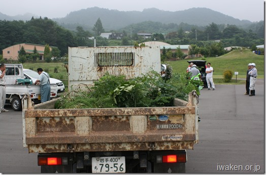 収集草