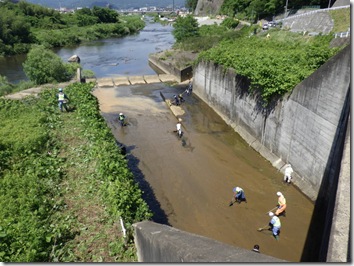 R080605ichi吸川清掃(58)