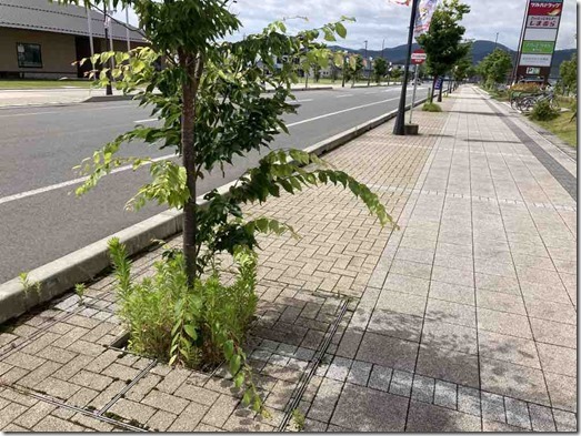 作業前②