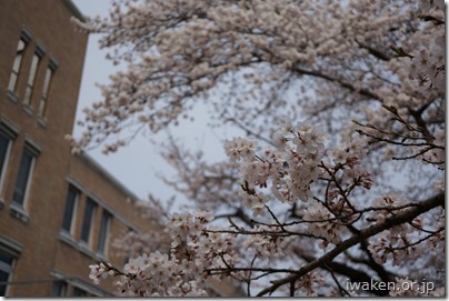 sen14041811 (1)