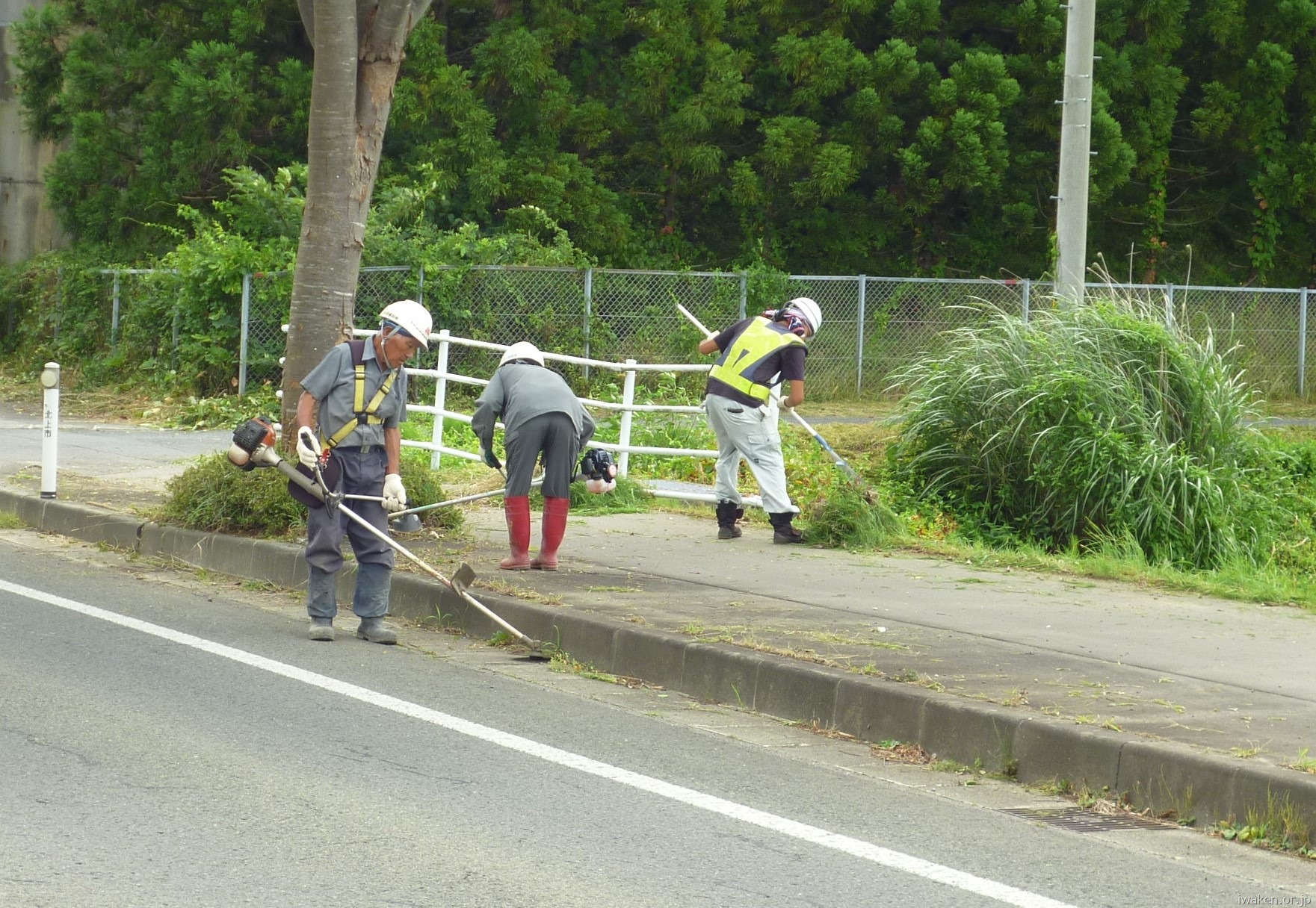 道路清掃