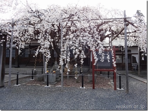 H28.4.21龍谷寺0013