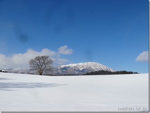 H28.2.7いわて雪まつり0001