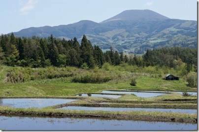 山吹棚田