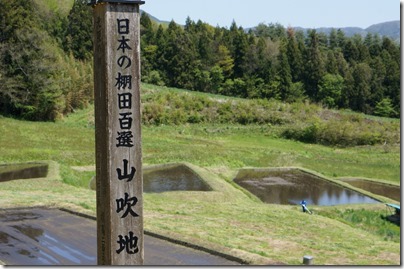 山吹棚田