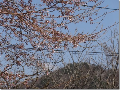 DSC00660