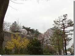 ⑥盛岡城跡公園Ｈ27.4.17