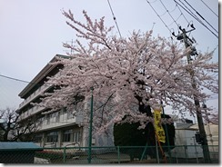 150419上田小学校