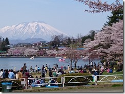 150419桜と花見客と岩手山