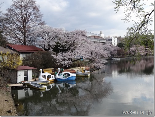 H28.4.20高松公園0013