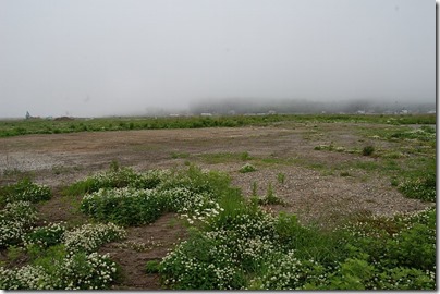 野田村の街中