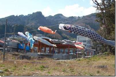 大槌町吉里吉里の鯉のぼり