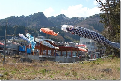 大槌町吉里吉里の鯉のぼり