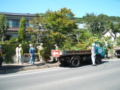 2008_08060025.JPG