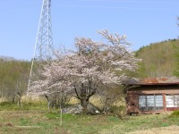 CIMG0476.JPG