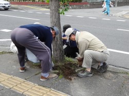 25年度国道106号道路の景観を良くする活動3