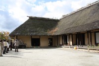 EOS 3857.jpg