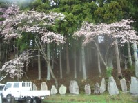 08.4.19骨寺村荘園整備 030.