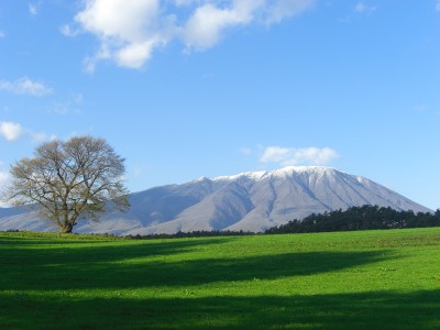 11月の風景 004.jpg