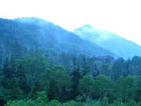 時雨の山.JPG