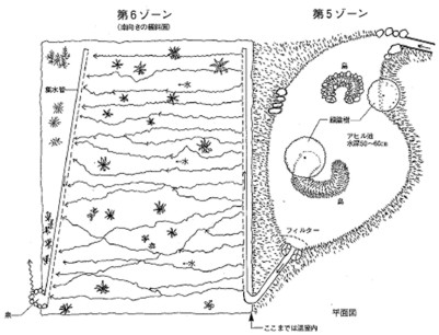 汚水浄化生態圏