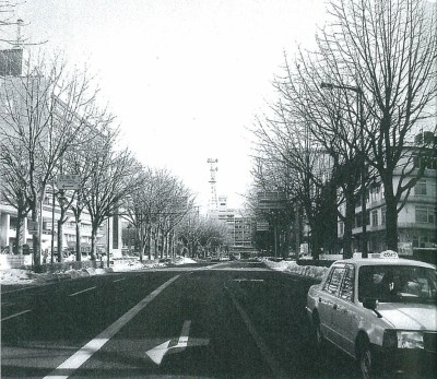 厳冬の冬、葉を落とした盛岡市内丸のトチノキの街路樹（2008年1月）